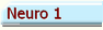 Neuro 1